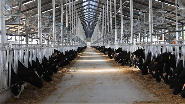 4522亿元105个项目赋能蓝色发展(图1)