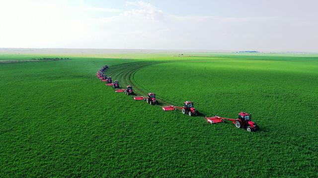 防城港跨境电商综合查验平台项目、防城港AI与生物技术双核智慧海洋牧场项目成功签约(图1)