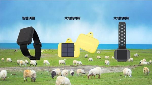 报告解读·民生篇｜推进105个城中村改造政府工作报告绘就持续增进民生福祉的温暖画卷(图1)