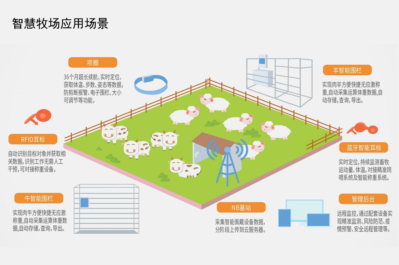 西藏：持续加大畜禽活体抵押融资支持力度(图1)