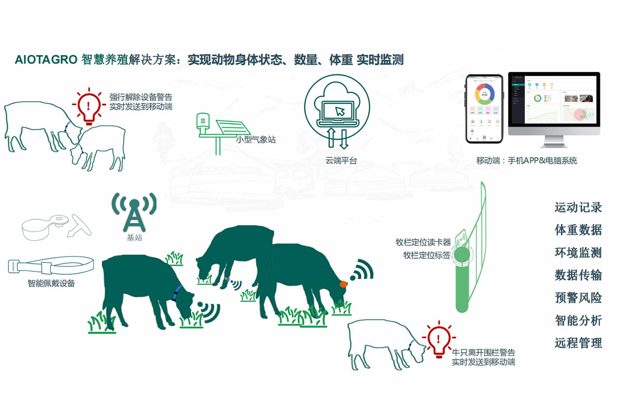 哈萨克斯坦农业展实战经验中国企业案例分享丨天弋展览(图1)