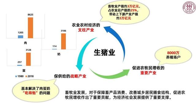 农业农村部关于落实《中共中央国务院关于锚定农业农村现代化扎实推进乡村全面振兴的意见》的实施意见(图1)