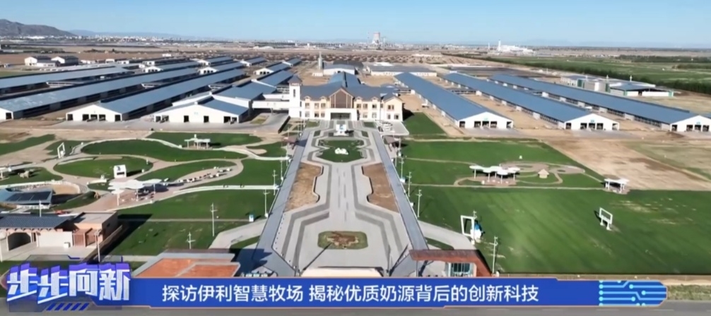 天然自足的现代性：太阳朋克的科技未来愿景(图1)