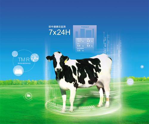 不只是伴手礼更是京韵风华(图1)