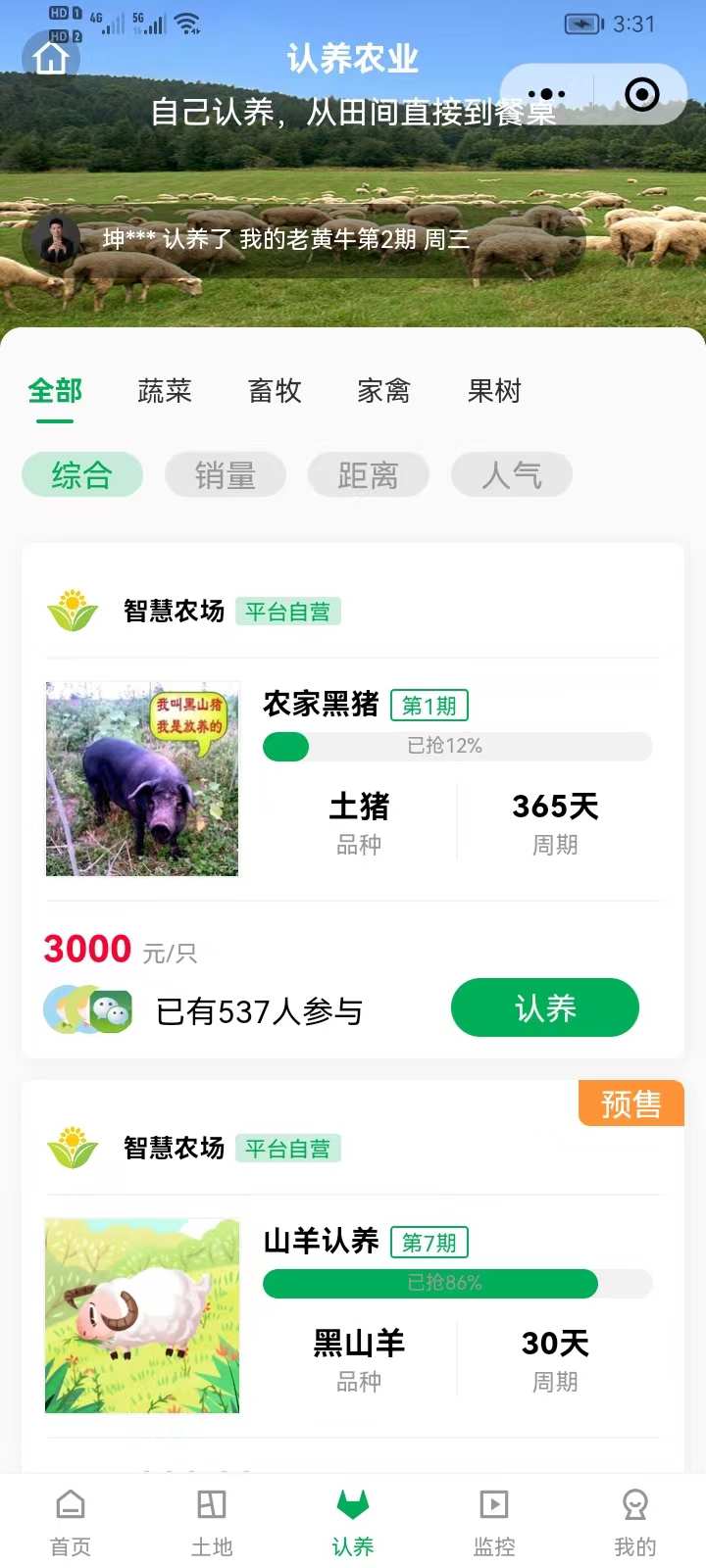 潮南人的“新”年味(图1)