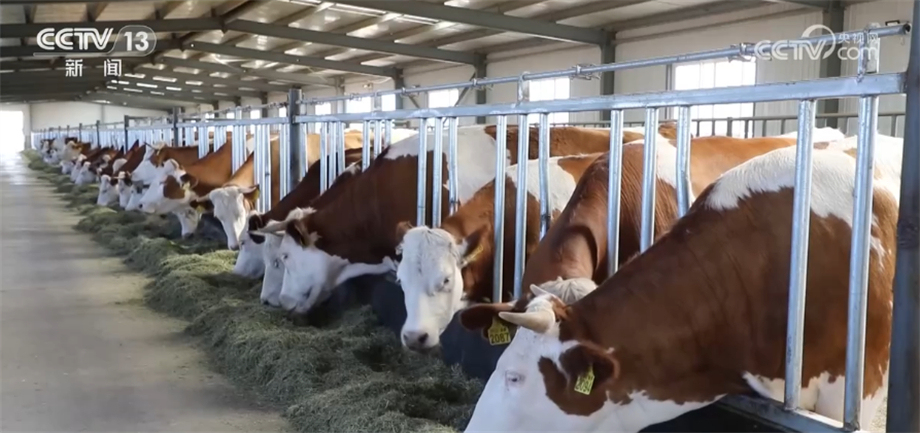 大年初五省委书记、省长与民营企业家餐叙:这些座上宾自带绿色含金量(图1)