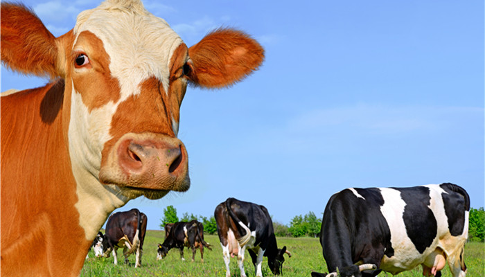 新闻简讯天极网_智能设备_智能手环(图1)