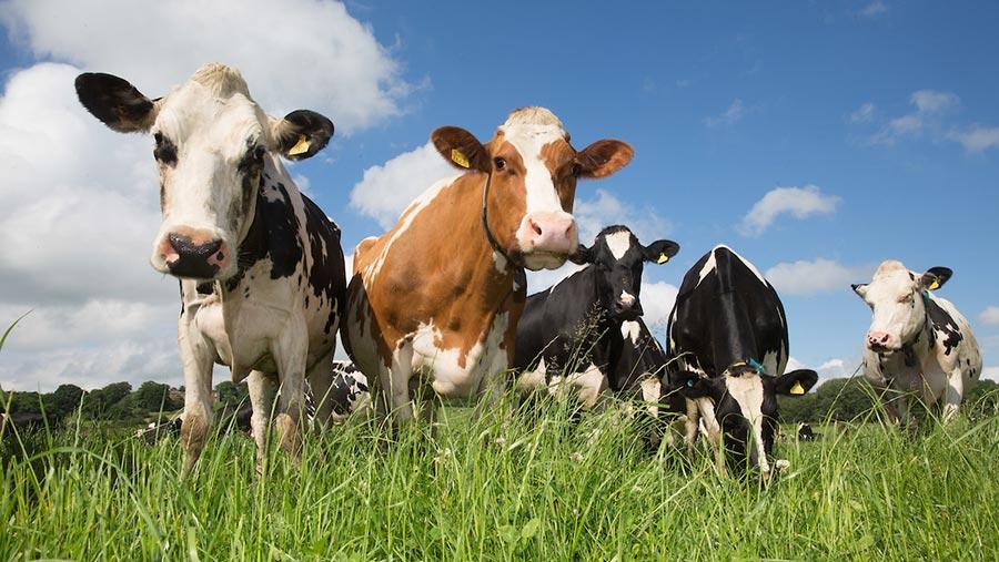 2026年中国智慧农业行业发展现状与前景洞察(图1)