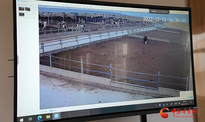 农业农村部关于加快推进畜牧业数字经济发展的答复(图1)