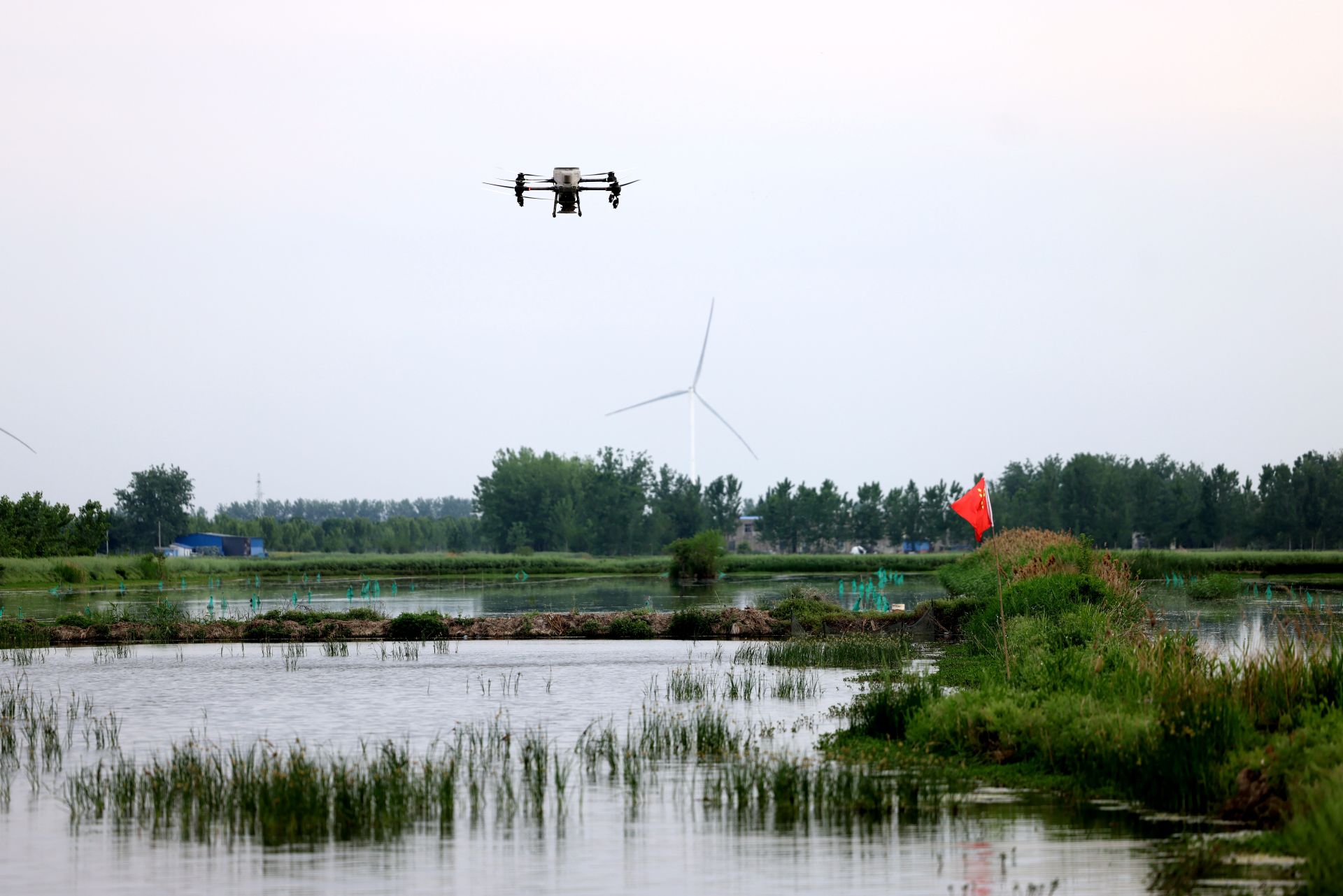 畜牧业夯实根基提质增效(图1)