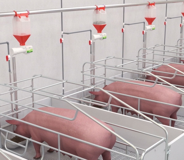 全国政协委员刘永好：推动农业出海从“走出去”到“走进去”(图1)