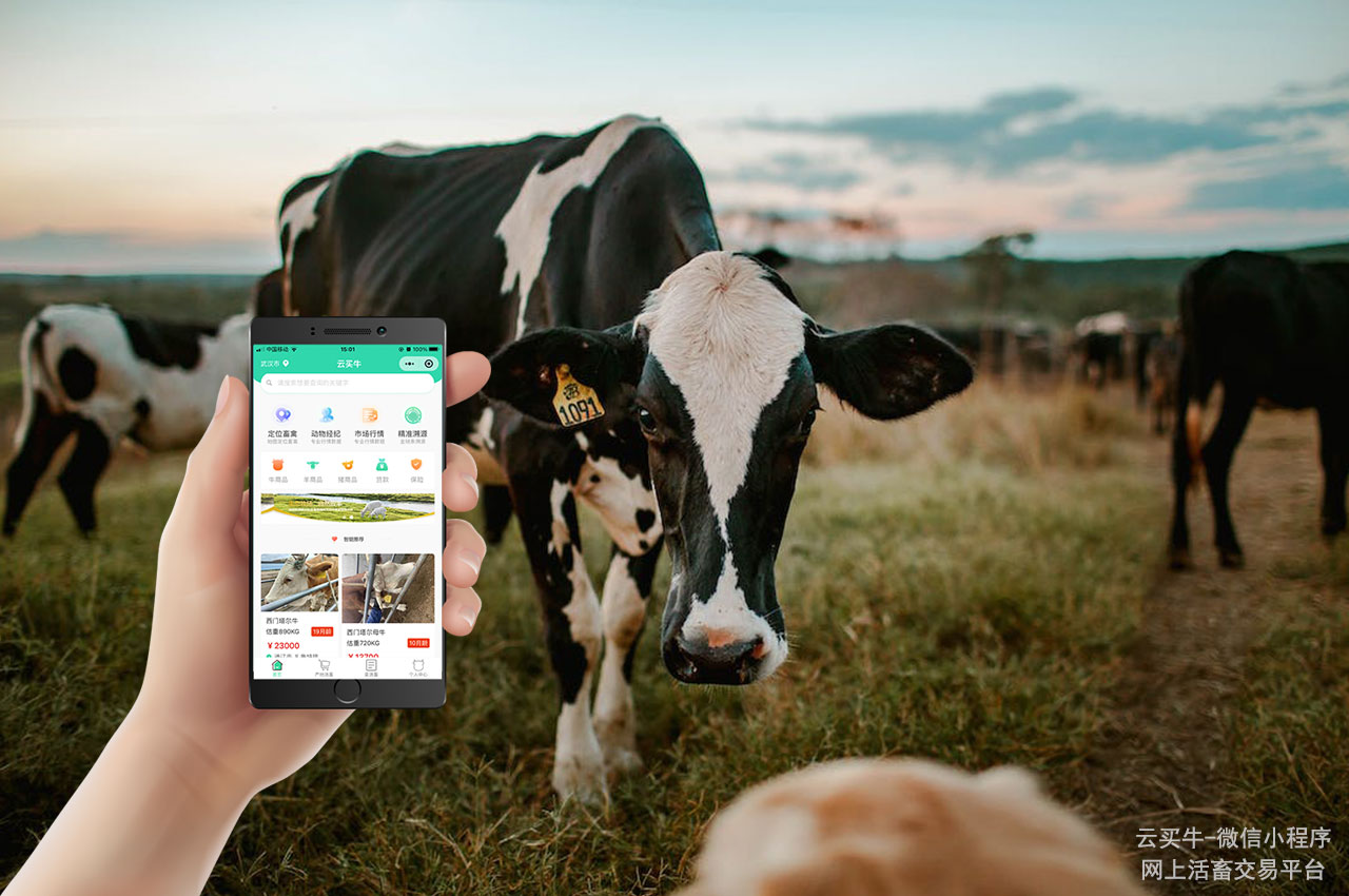 黄冈]浠水鸡蛋”区域品牌亮相武汉(图1)