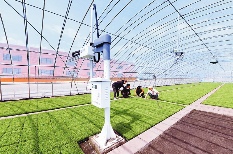 荣昌区委农村工作会议现场考察侧记：探访数字化养殖背后的“院企共建”密码(图1)