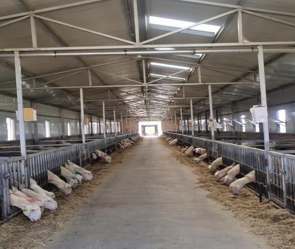 主题论坛——关于举办第五届生猪产业智能化装备与数智化管理论坛暨生猪产业大模型赋能养猪业高质量发展研讨会(图1)