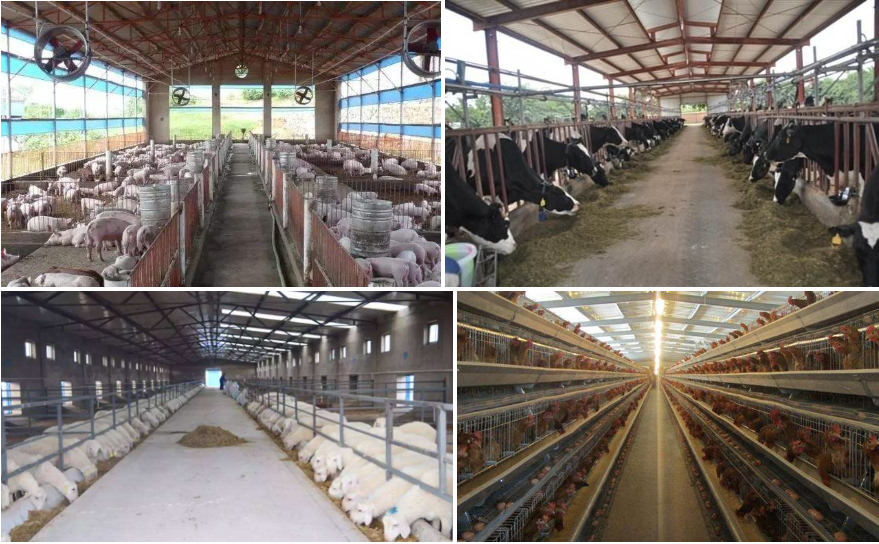 开局就是奋斗起步就要奋进丨数字池塘智养国产AI“龙虾”(图1)