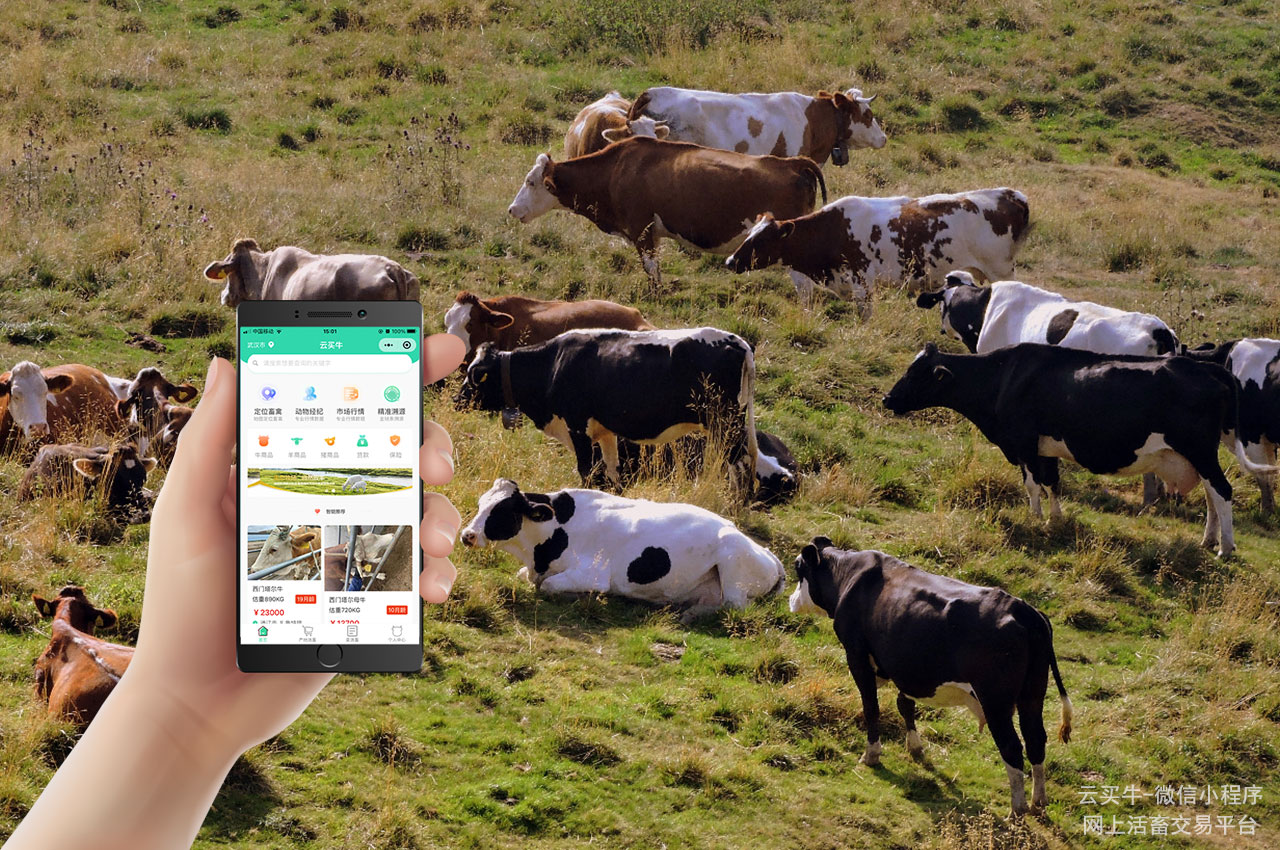 千帆破浪实干为楫：在时代变局中书写乡村振兴新篇(图1)