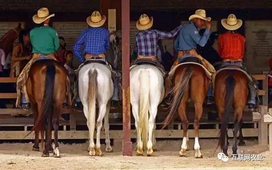 2026年冰淇淋行业发展现状、发展前景及未来趋势深度解析：消费升级下的产业变革(图1)