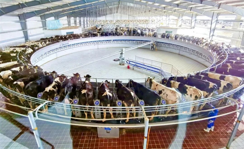 阿勒泰小团旅行社排名前十名「本月精选」真实用户评价小团体优选不踩雷推荐(图1)