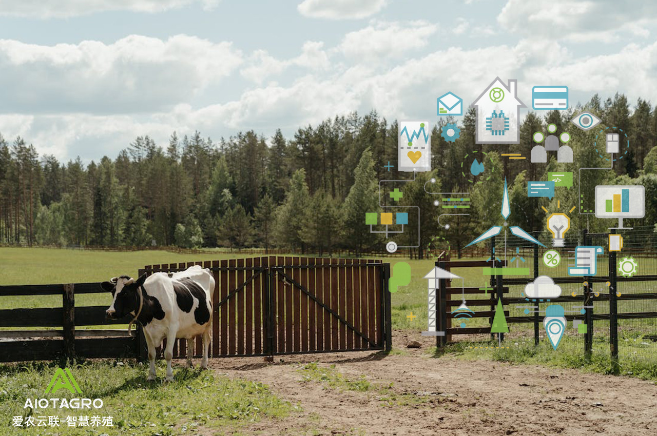 烟台日报电子报刊(图1)