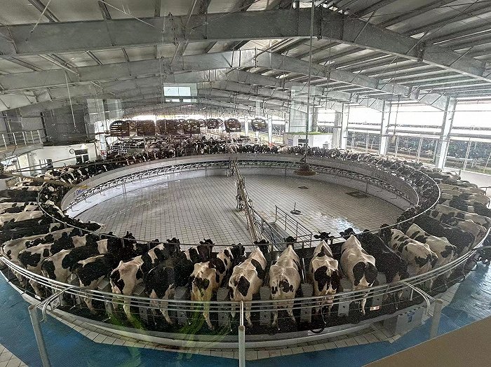 进度条刷新！巴彦淖尔这2个项目有新进展(图1)