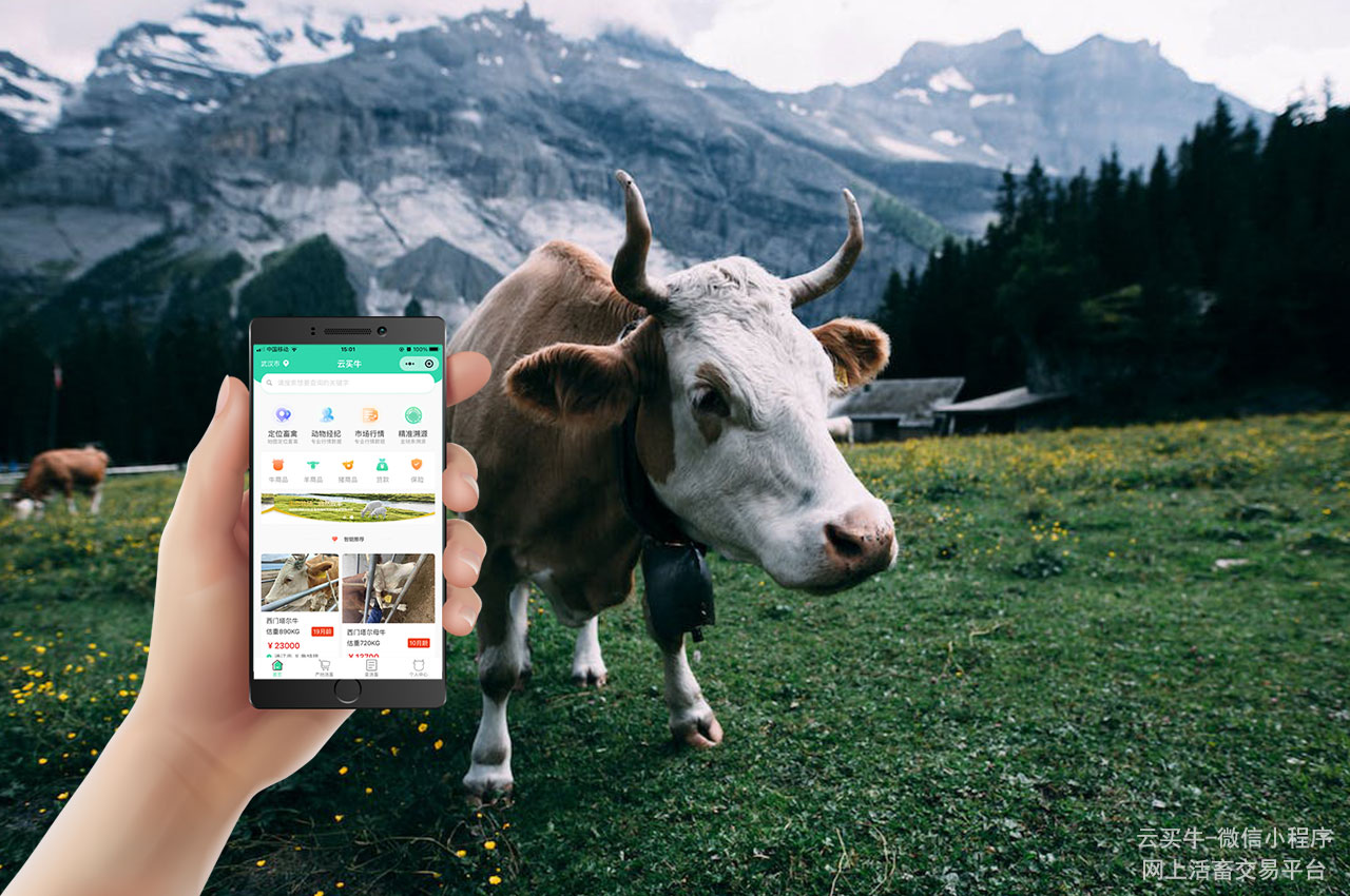 西部奶羊产业发展大会在杨凌举办(图1)