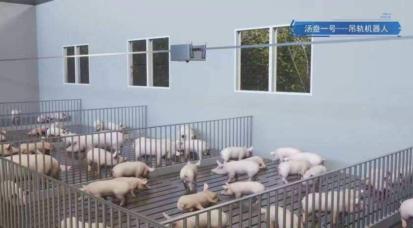 福建漳州:唤醒农业“沉睡资产”点亮乡村振兴“生金路”(图1)