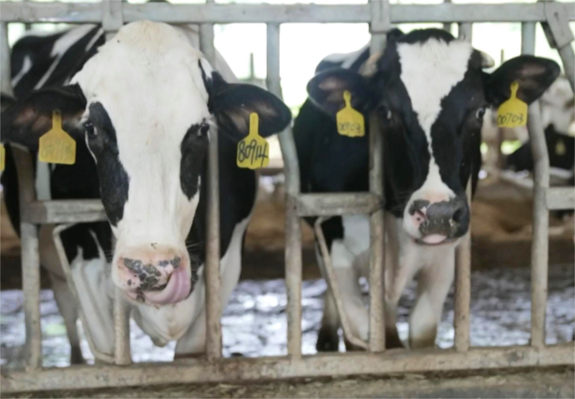 《农民日报》|江西:智能新设备高效服务粮果畜(图1)