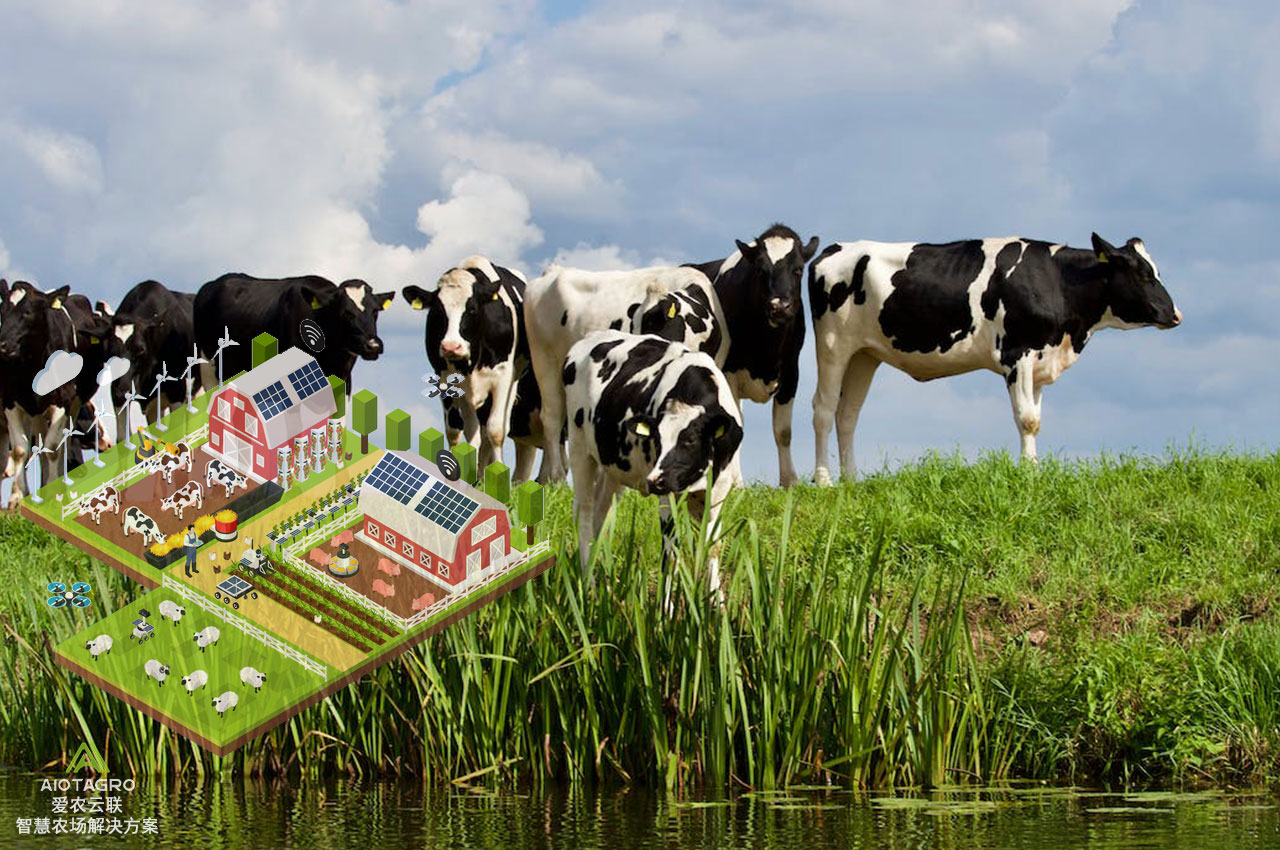 爱牧云-智慧牧场屠宰溯源畜牧监管养殖管理系统畜牧大数据爱牧云(图1)