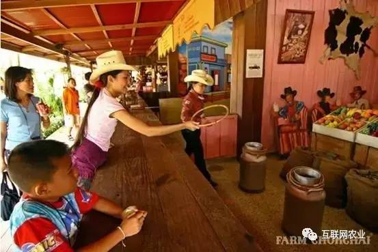 2026年新疆奶粉代工厂盘点：源头产线与交付能力对比(图1)