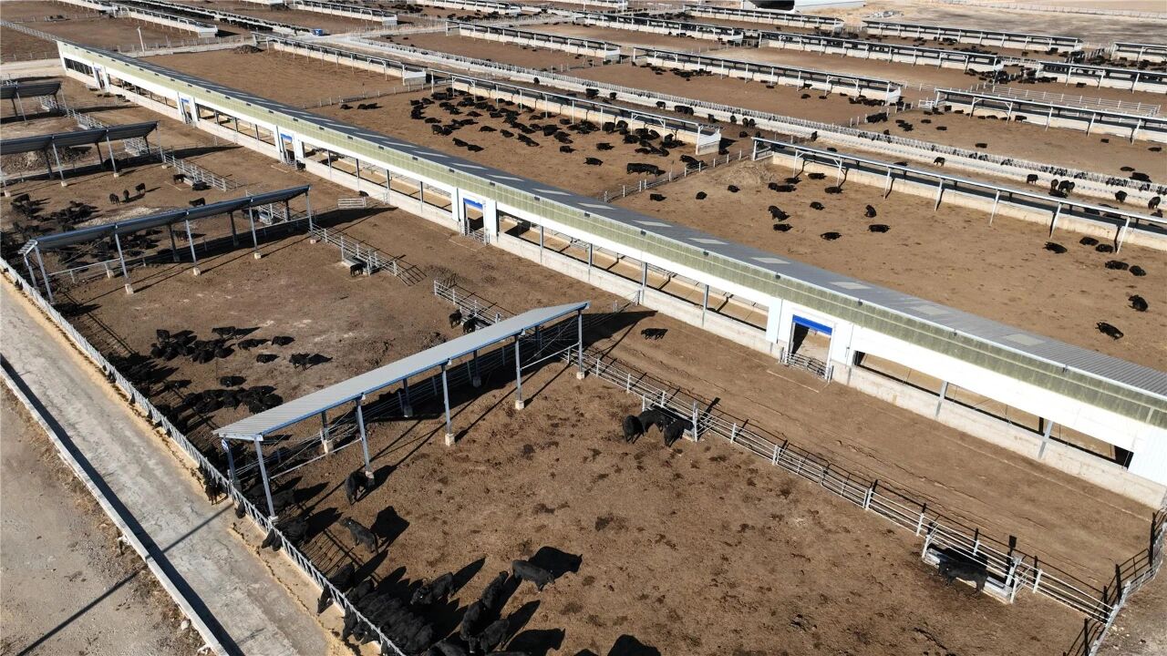 科技赋能雪域牧场智慧点亮牦牛产业——青海大学与中恒国科信智化平台获牧民广泛赞誉(图1)