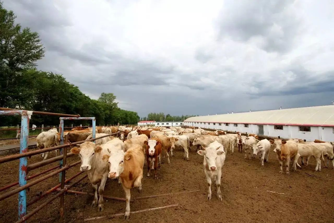 “指间”管农田“屏上”治乡村——福建深入推进数智赋能乡村振兴观察(图1)