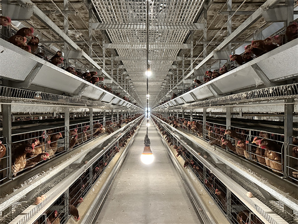 吉林省关于智慧农业发展的实施意见内容是什么？(图1)