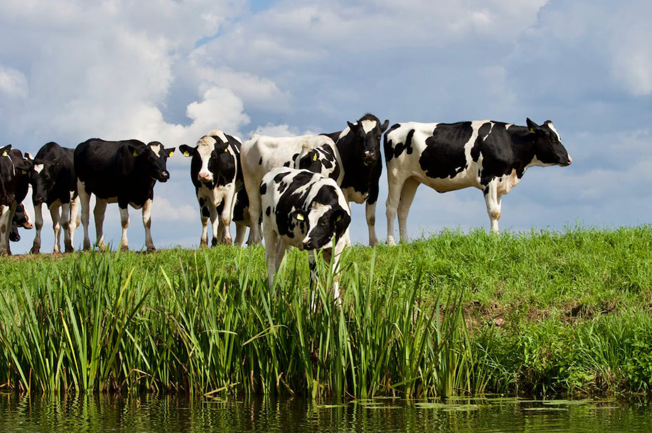 关于印发《柳州市中小学科技教育实施方案（2026—2030年）》的通知(图1)