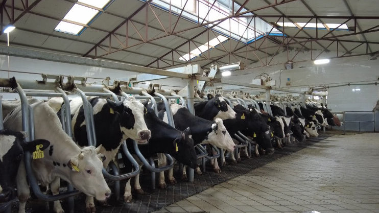 2025年“数据要素×”大赛内蒙古分赛优秀案例展播丨内蒙古分赛三等奖获奖案例——掘金畜牧数据AI面部识别重构标注产业价值链(图1)