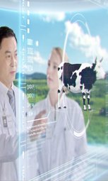 攀高向新好项目塑造好未来(图1)