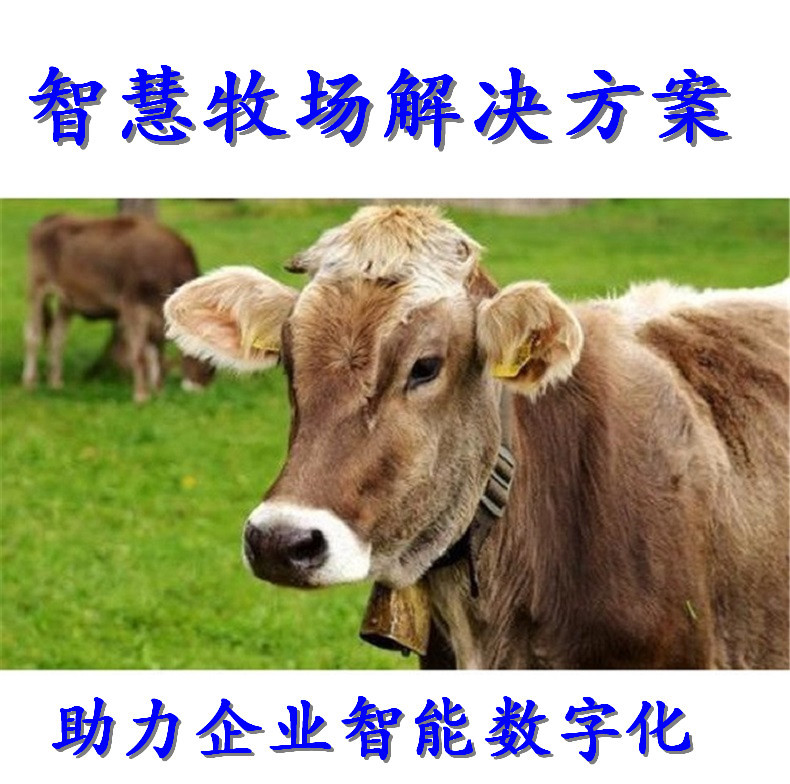 2026年中国渔业发展环境与现状分析(图1)