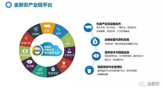 RFID科技助力:畅游智能畜牧场的牛羊自动点数(图1)