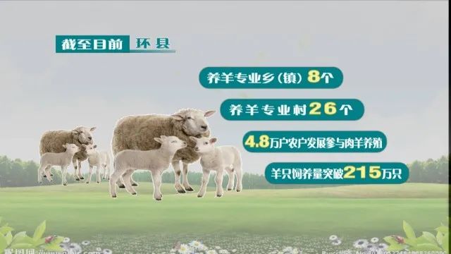 辐射四方通联全国省部共建内蒙古牛羊肉市场交易额超54亿元(图1)