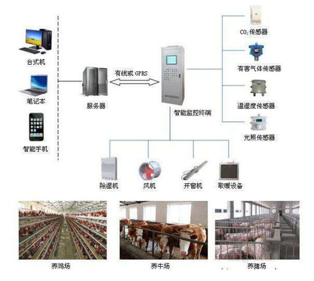 中国智慧海上牧场发展白皮书——励图高科海上牧场全流程智慧管控解决方案与实践(图1)