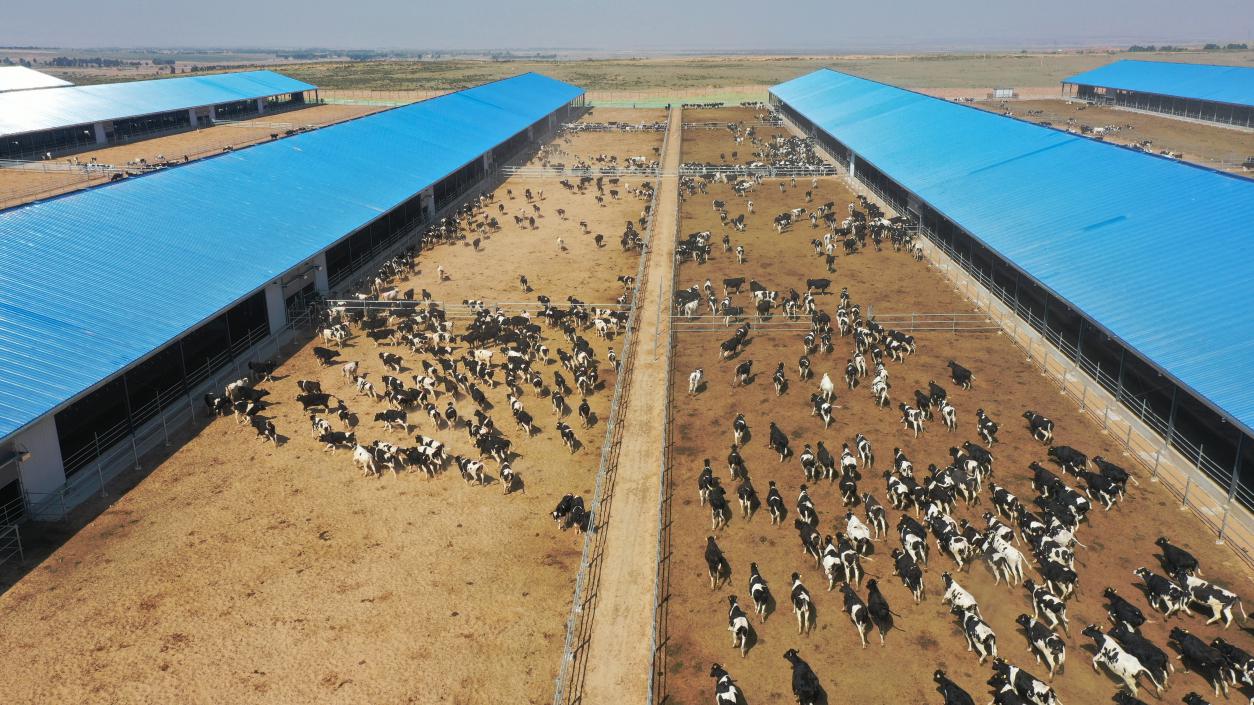 福州新闻网_福州新闻频道在线直播最新的福建_海峡网(图1)