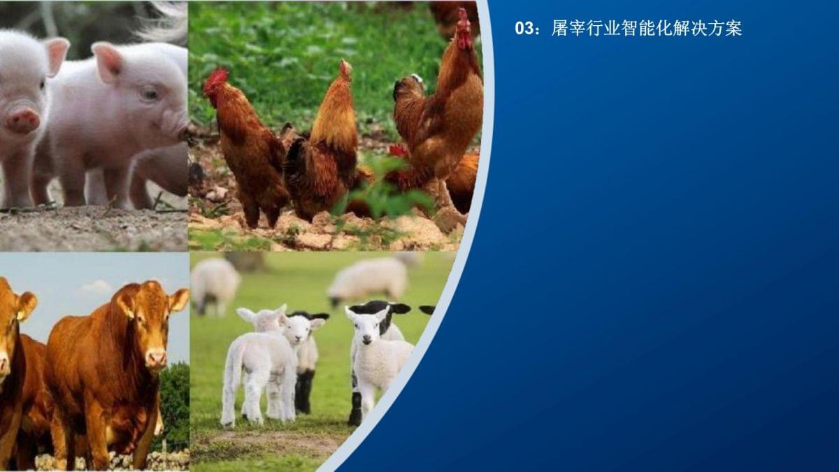 科技活水兴渔产循环种养富乡邻(图1)