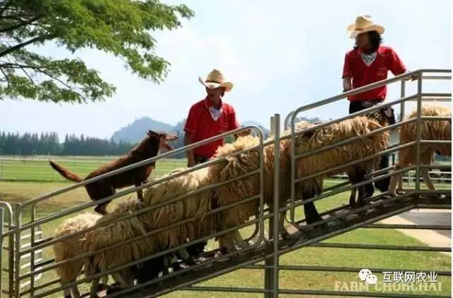 2026年世界奶业大会开幕全球乳业大咖齐聚呼和浩特共商发展大计(图1)