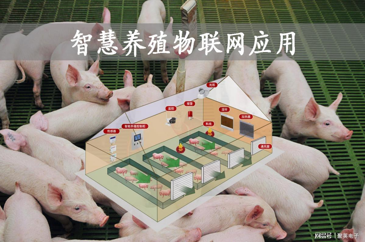 滦州聚焦补链延链强链招商引资(图1)