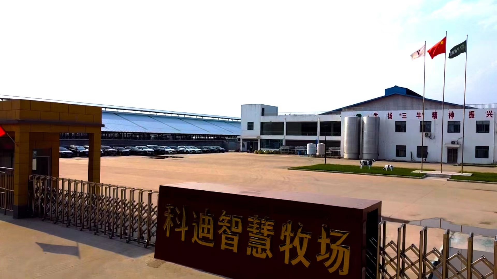 “通辽肉牛好通辽好牛肉”:以产业硬核实力铸就区域公用品牌新标杆(图1)