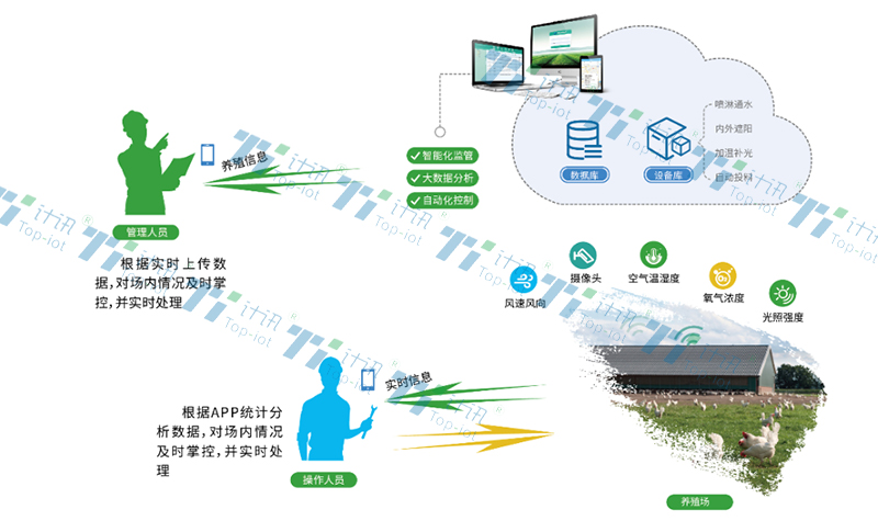 甘肃民乐:智慧养殖让羊产业“链”起好“钱景”(图1)